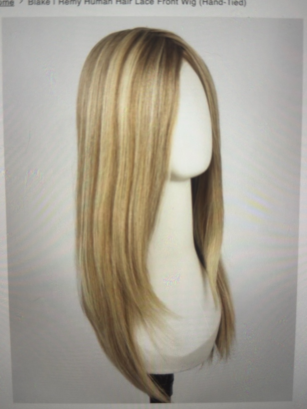Jon Renau Blake human hair Long Straight Lace Front Wig in 12FS12 MALIBU BLONDE